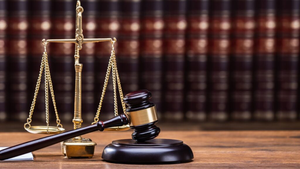 THE GREEN CONNECTION AND NATURAL JUSTICE NOW HAVE THE RECORD OF DECISION TO PROGRESS LEGAL CHALLENGE AGAINST TOTALENERGIES