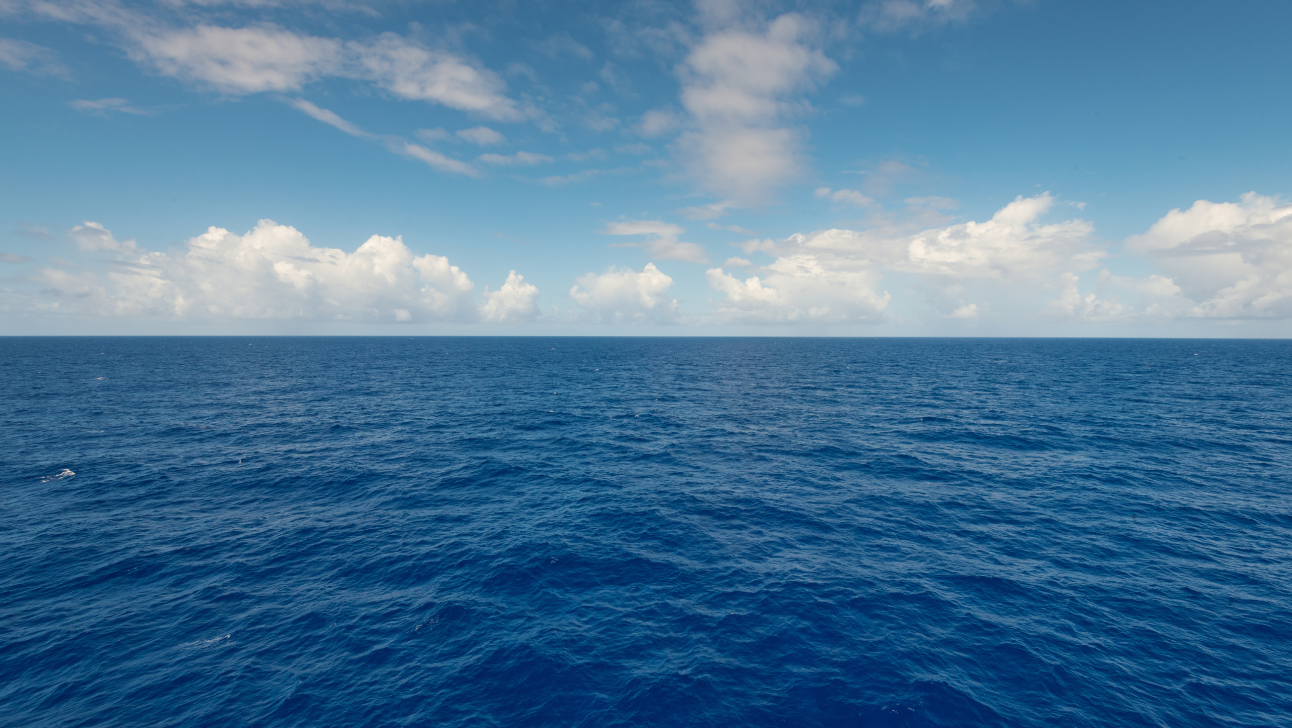 OPEN LETTER: GREEN CONNECTION QUESTIONS ISRAELI OIL COMPANY’S BID FOR SOUTH AFRICAN OFFSHORE BLOCK AMID ICJ CASE